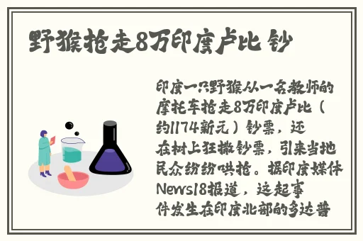 国产精品一区第二页